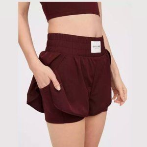 Aerie Offline Shorts with Liner